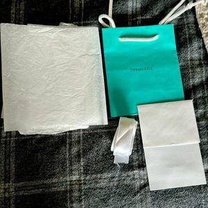 Small Tiffany & Co. gift bag